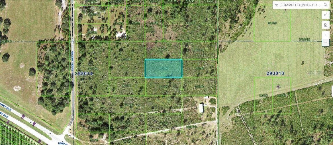 Lake Wales, FL 33898,TIGER LAKE RD