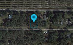 Avon Park, FL 33825,3122 W CHELSEA RD