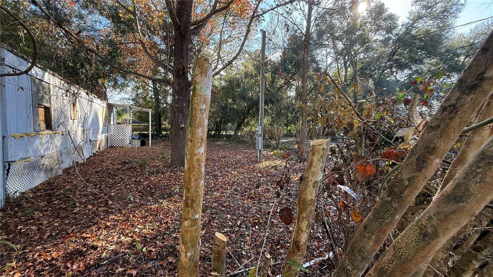 Satsuma, FL 32189,116 WATEROAK RD