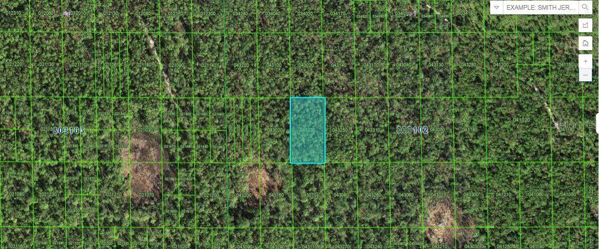 Lake Wales, FL 33898,HWY 60 E