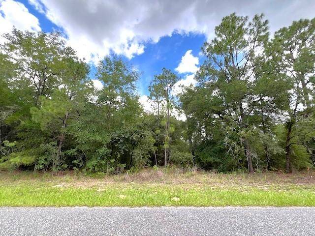 Citrus Springs, FL 34434,245 W RUSKA PL