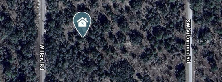 Dunnellon, FL 34431,Lot#38 RD