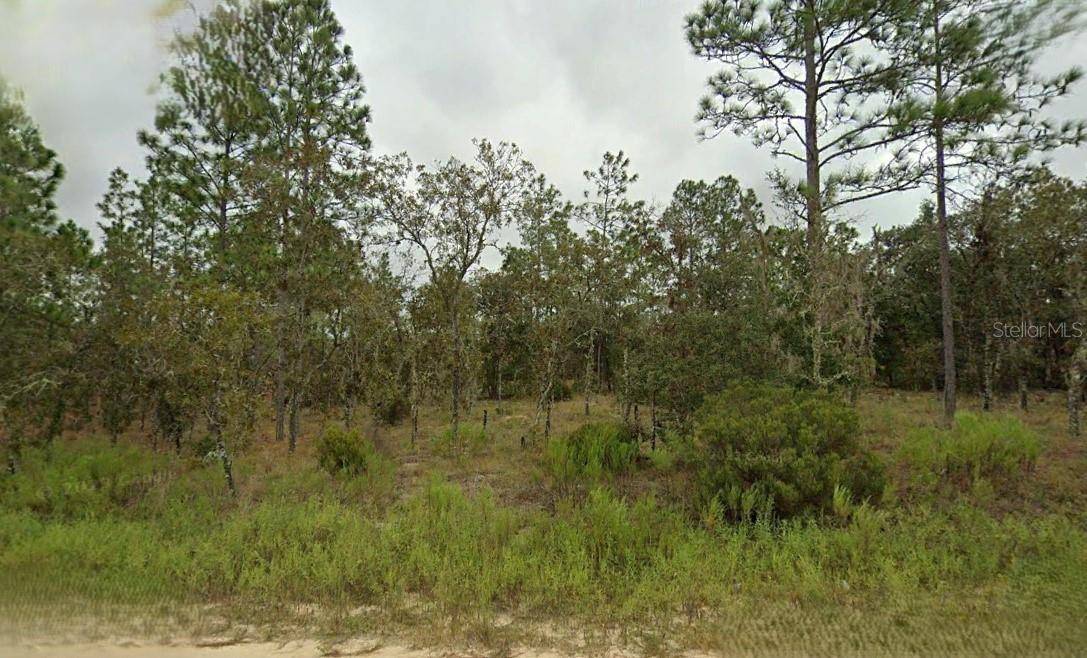 Williston, FL 32696,NE 150TH AVE