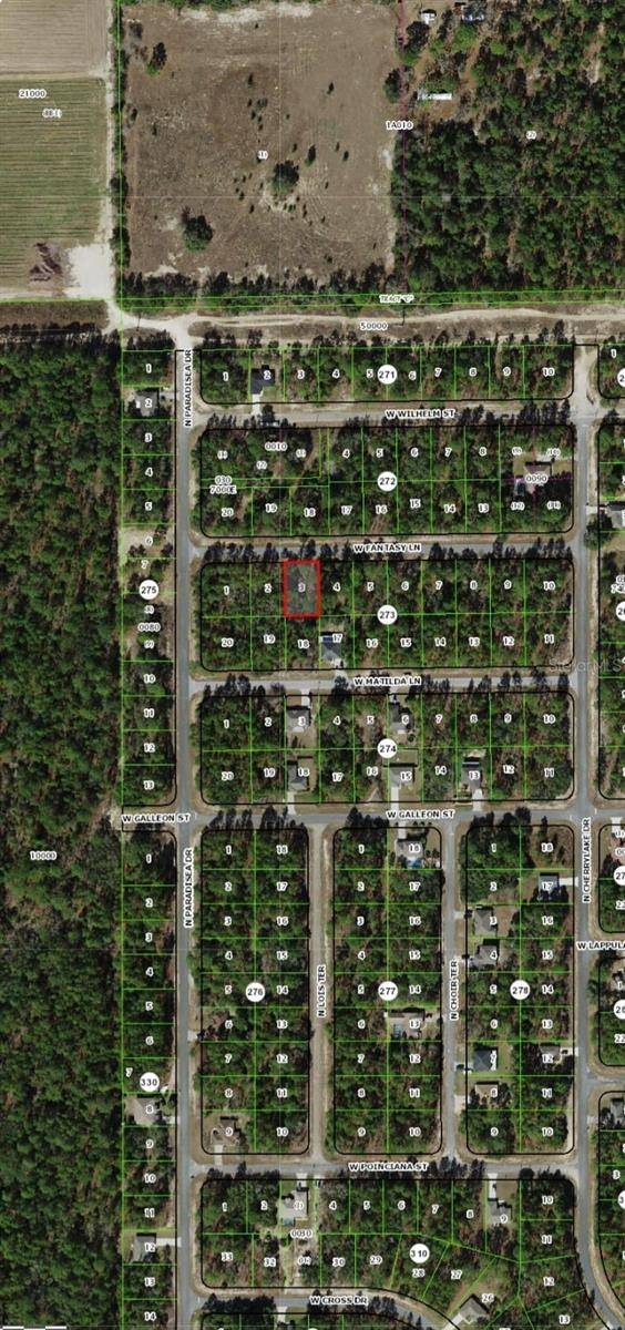 Dunnellon, FL 34433,3926 W FANTASY LN