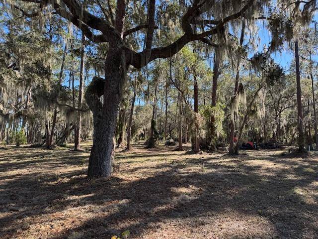 Lady Lake, FL 32159,7311 CIRCLE DR