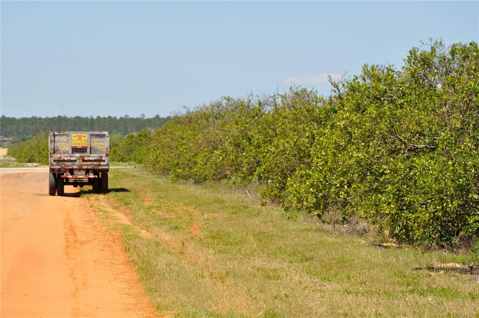 Lake Wales, FL 33898,GROVE RD 2