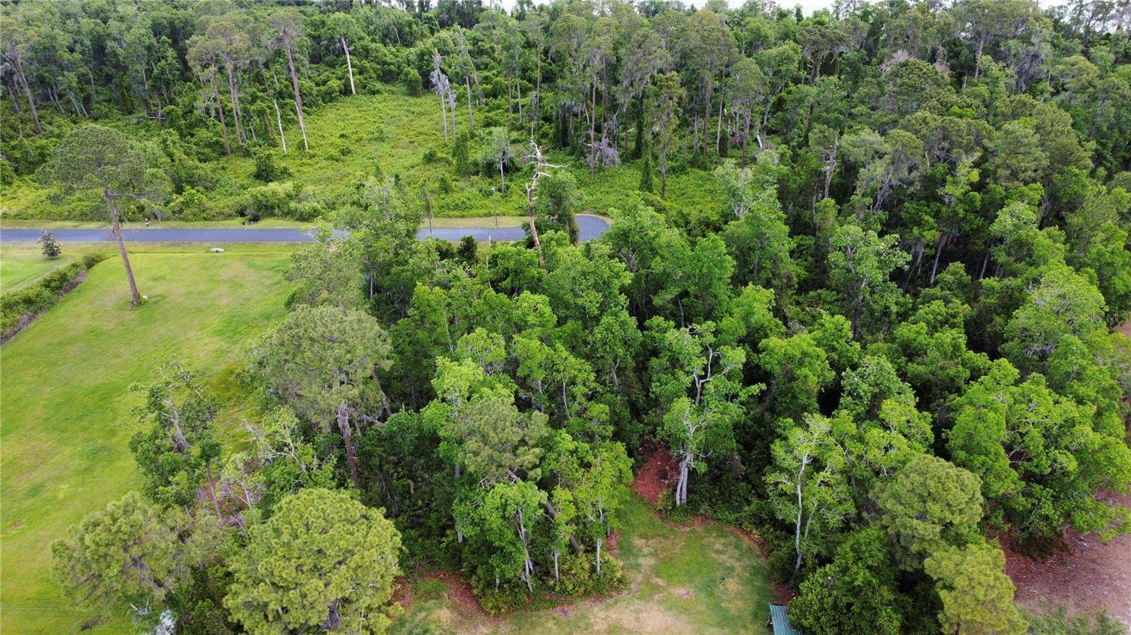 Tavares, FL 32778,MILL POND RD