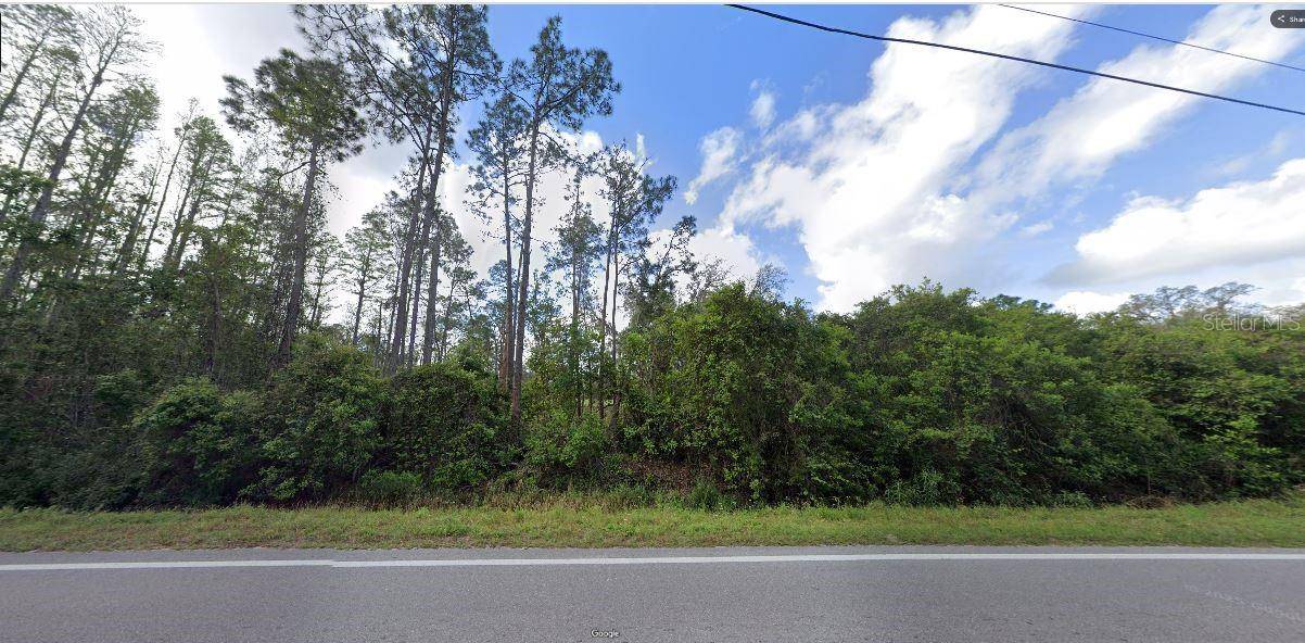 Polk City, FL 33868,DEEN STILL RD