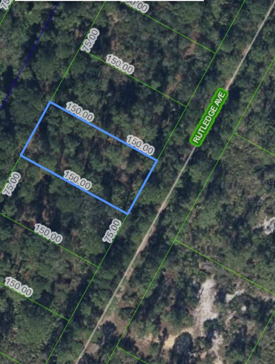 Lake Placid, FL 33852,1408 RUTLEDGE AVE
