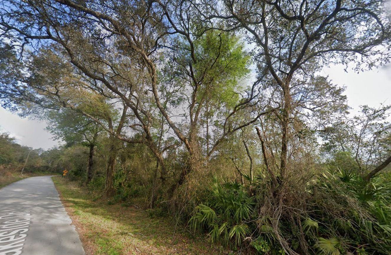 Deland, FL 32720,00 LAKESIDE DR