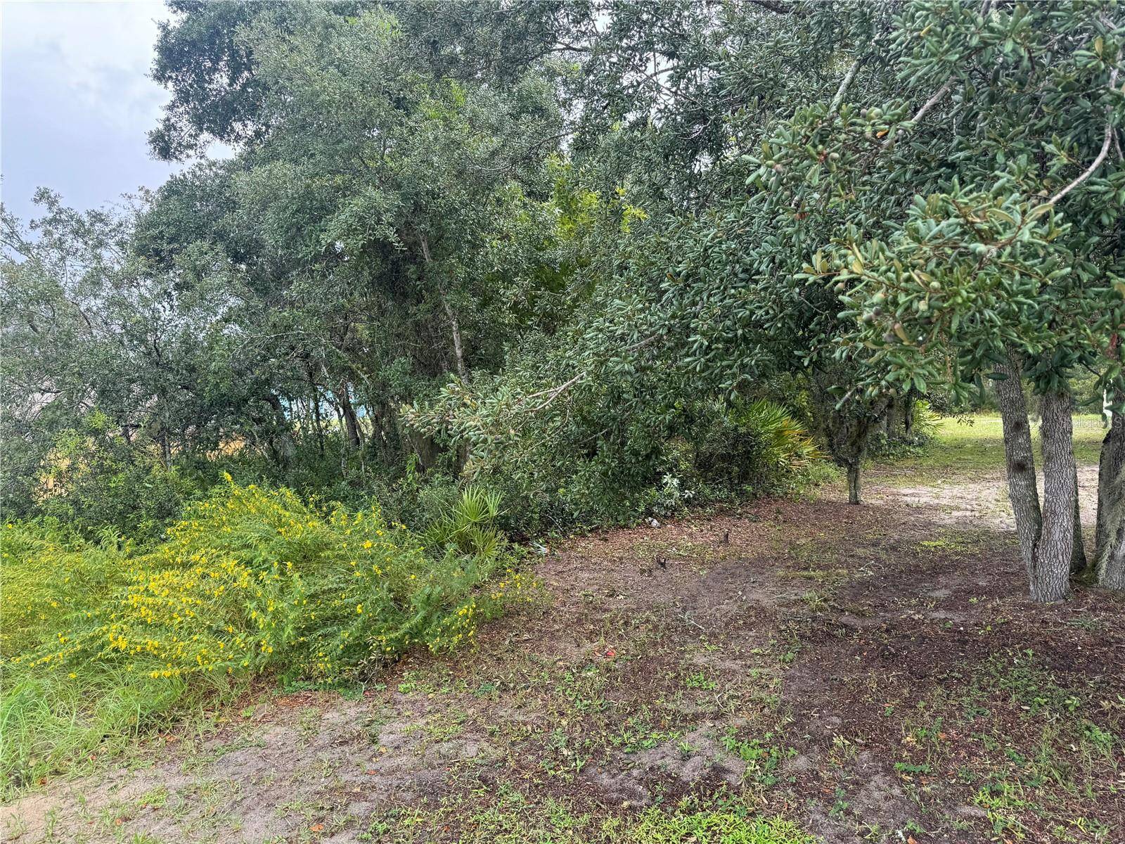 Kissimmee, FL 34759,1810 SUPERIOR WAY