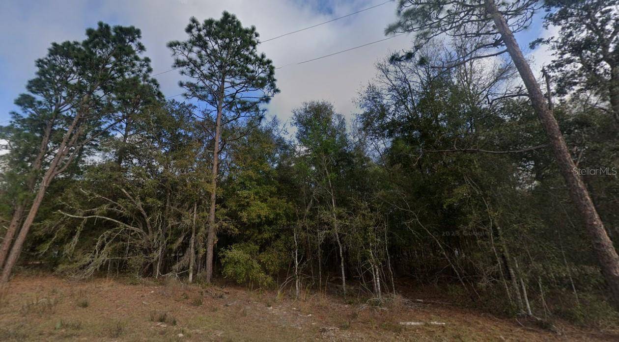 Altoona, FL 32702,000 FLORIDA RD