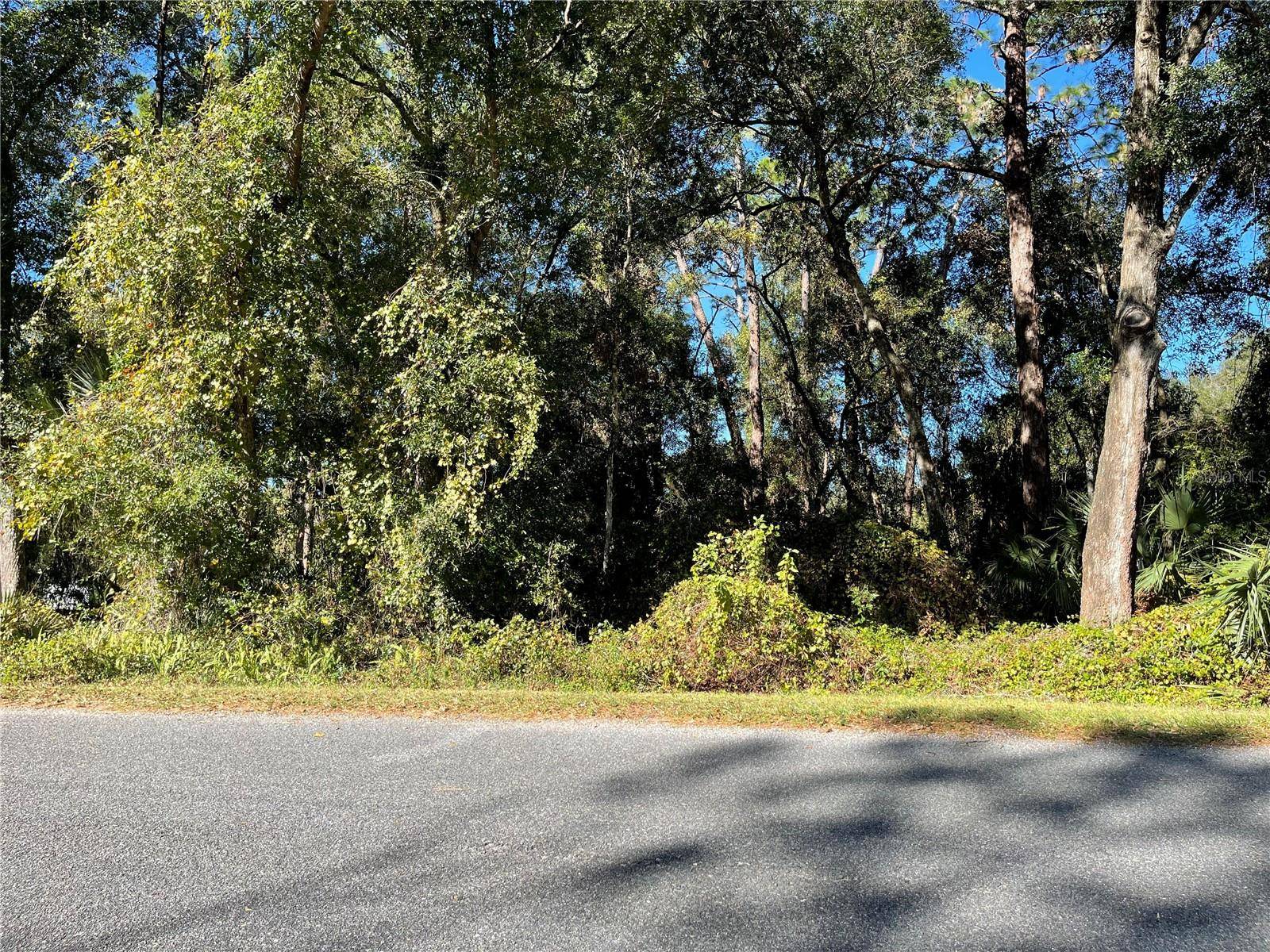 Ocklawaha, FL 32179,6954 SE 170TH AVENUE RD