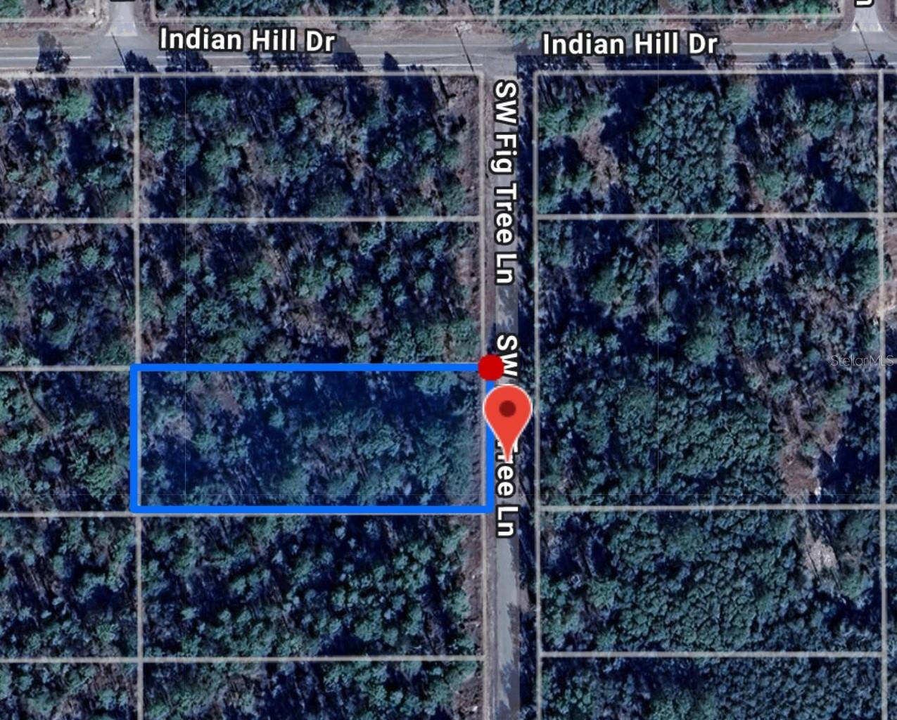 Dunnellon, FL 34431,FIG TREE LN