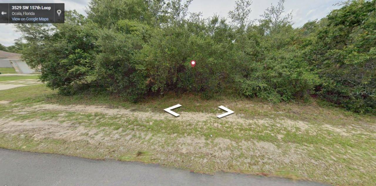 Ocala, FL 34473,SW 157TH LOOP