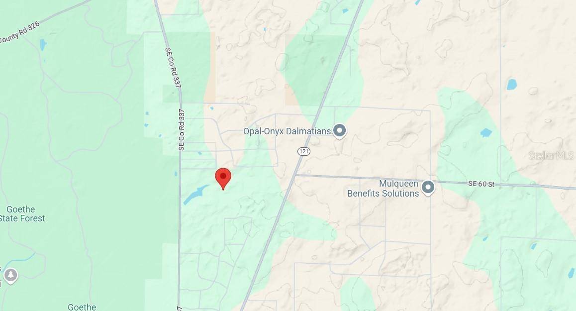 Morriston, FL 32668,UNDEVELOPED