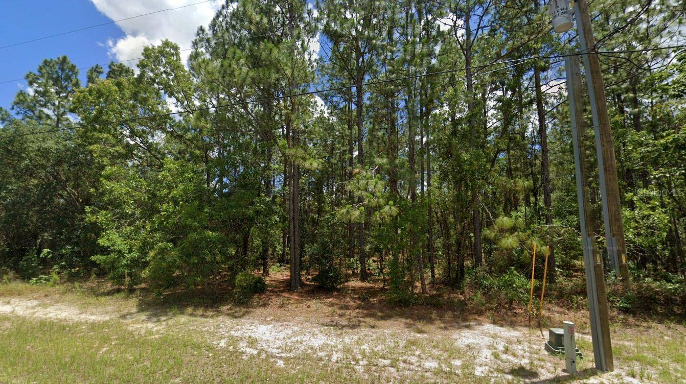 Ocala, FL 34473,SW 132ND ST