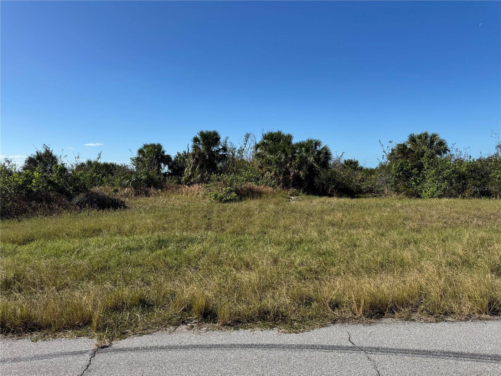 Placida, FL 33946,12539 QUAIL RD