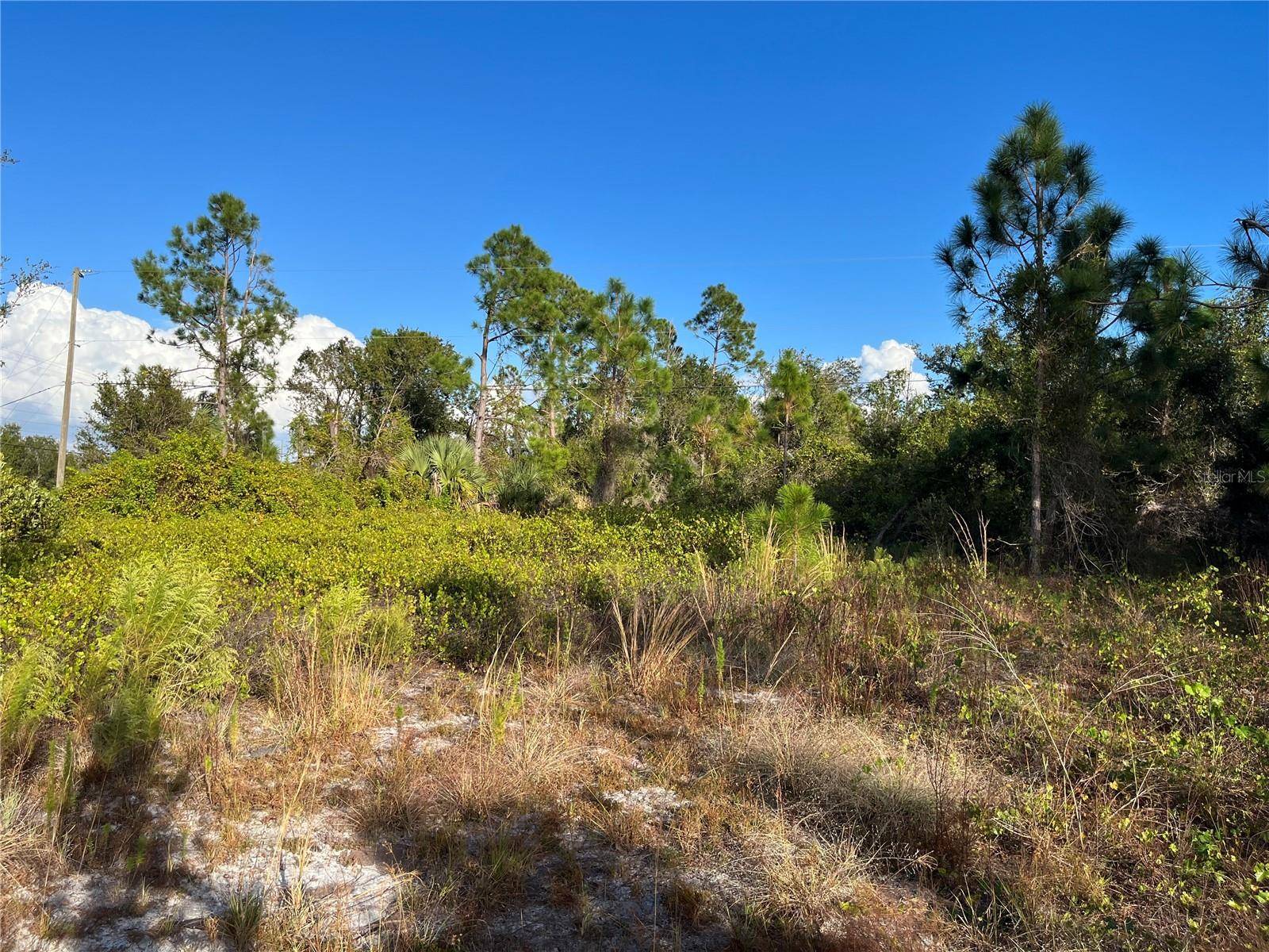 Punta Gorda, FL 33983,2250 SULSTONE DR