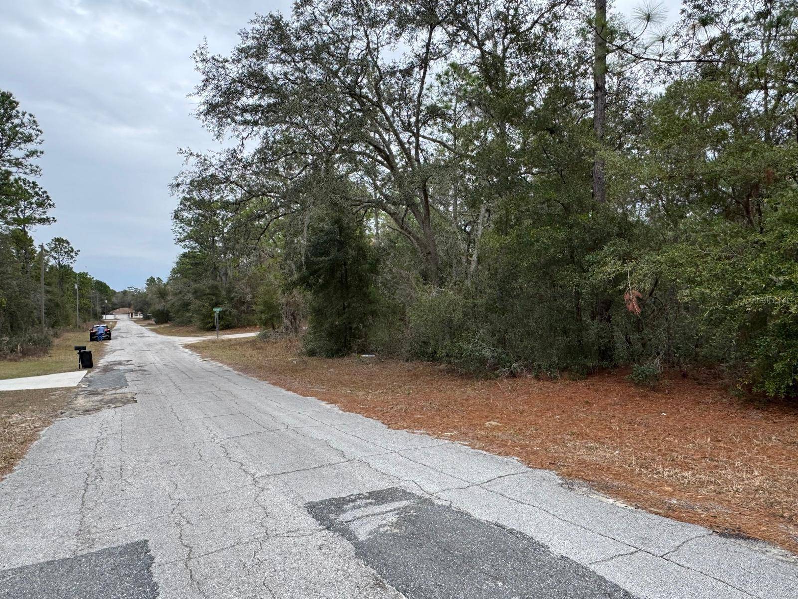 Citrus Springs, FL 34434,9625 N GAILLARDIA WAY