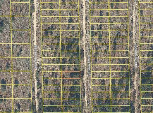 Hawthorne, FL 32640,IOWA AVENUE