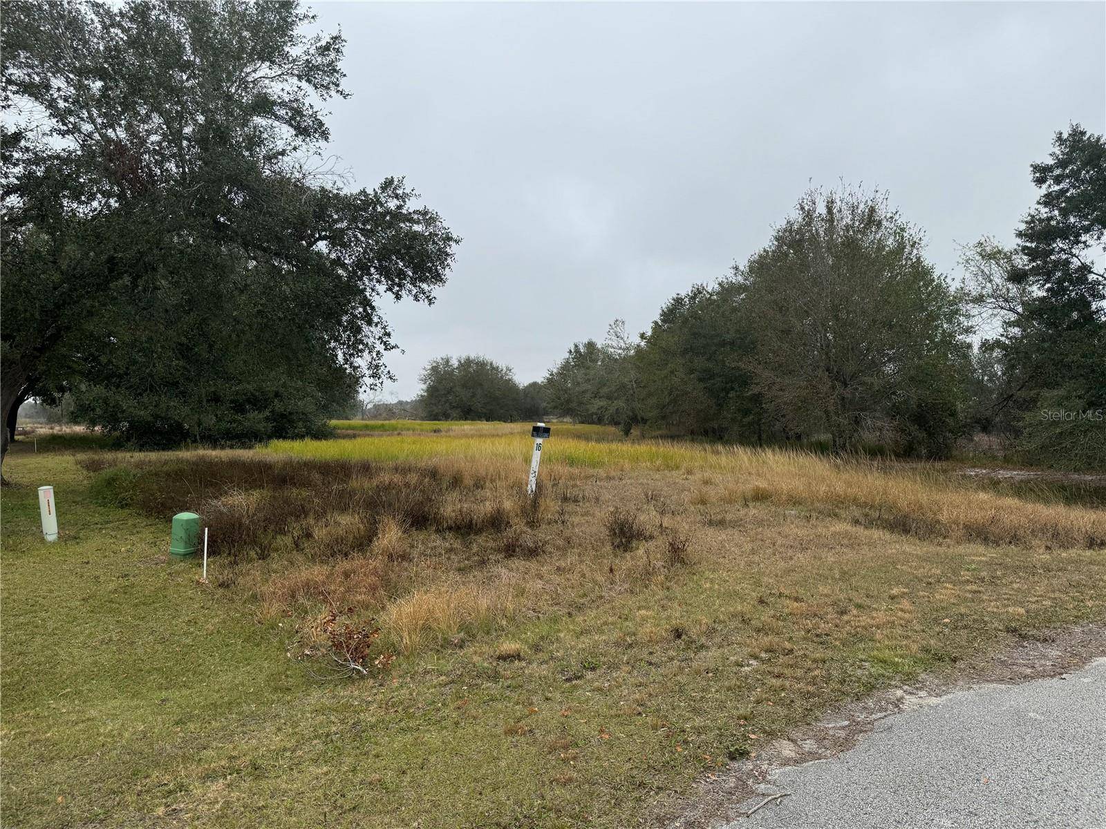 Groveland, FL 34736,HIDDEN HORSE WAY