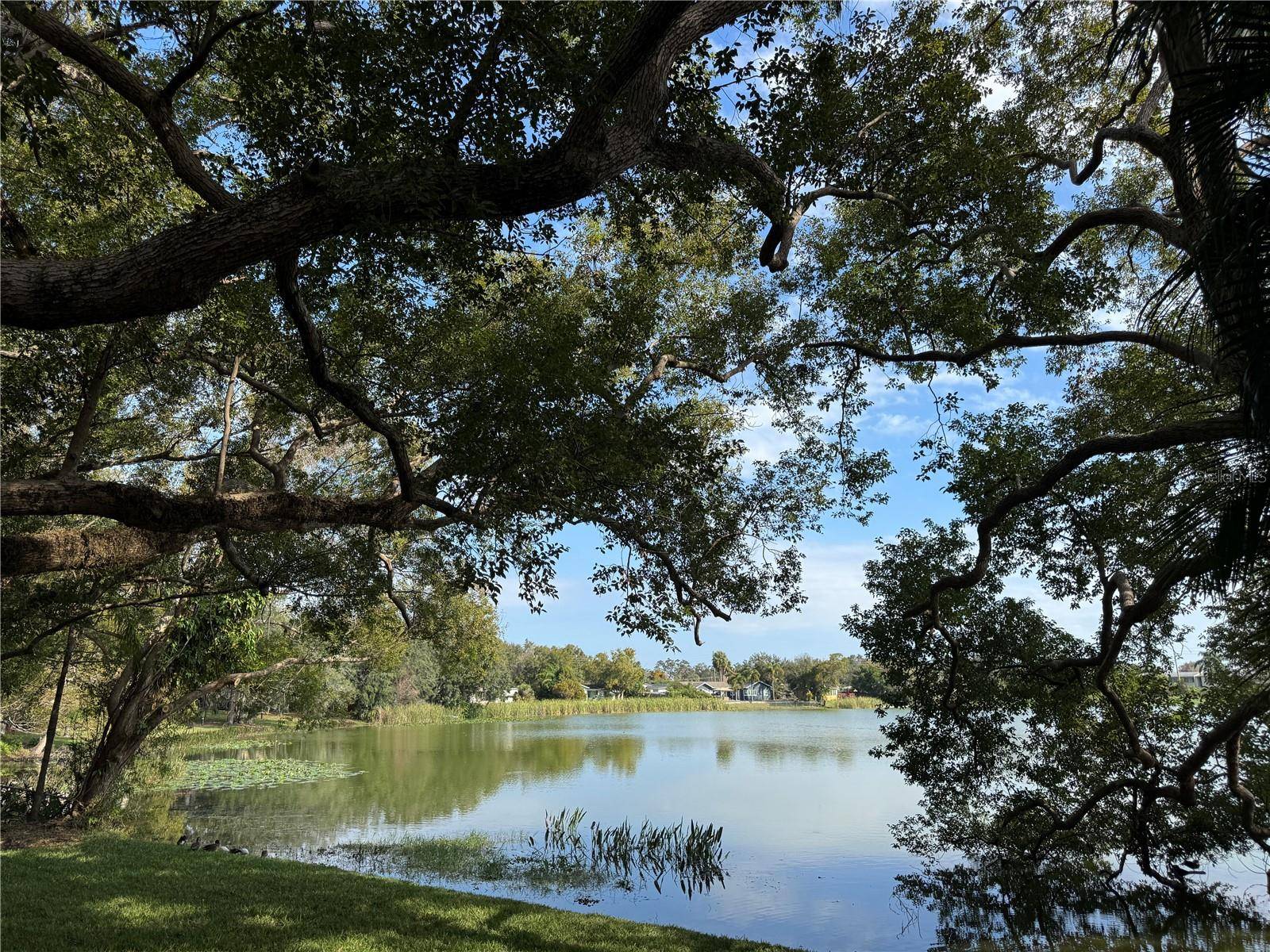 Orlando, FL 32806,2913 CARMIA DR