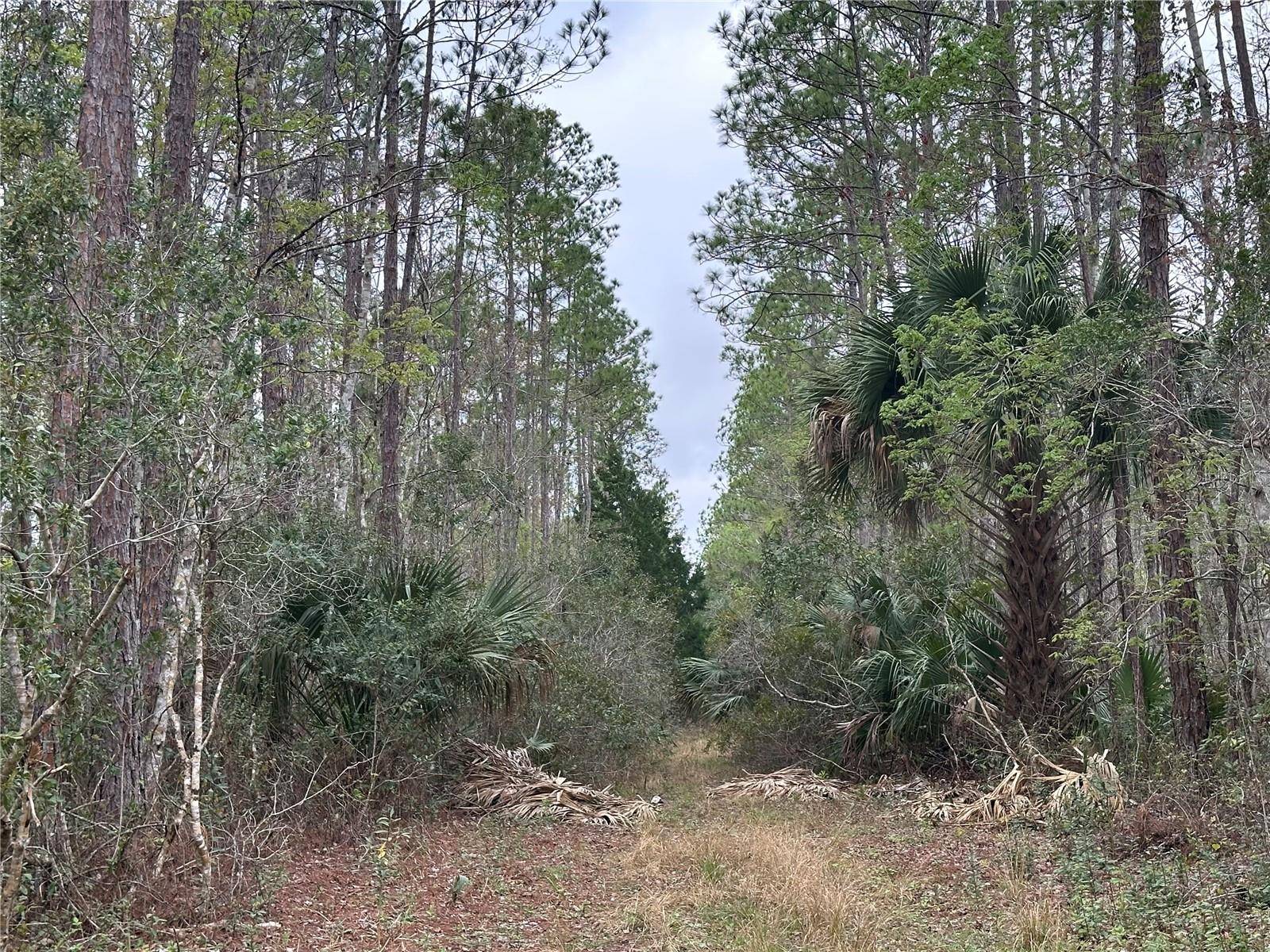 Deland, FL 32724,N0 STREET, DELAND FL 32724
