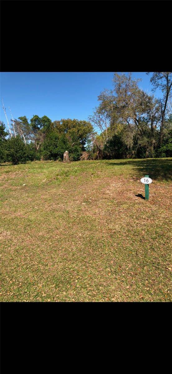 Wesley Chapel, FL 33543,29523 CHAPEL PARK DR