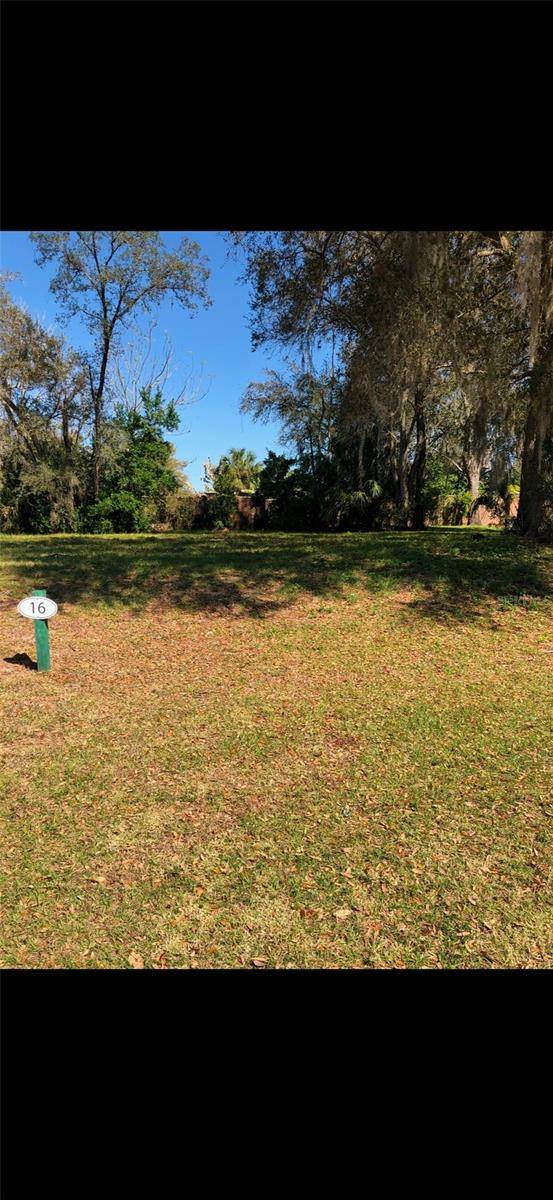 Wesley Chapel, FL 33543,29523 CHAPEL PARK DR