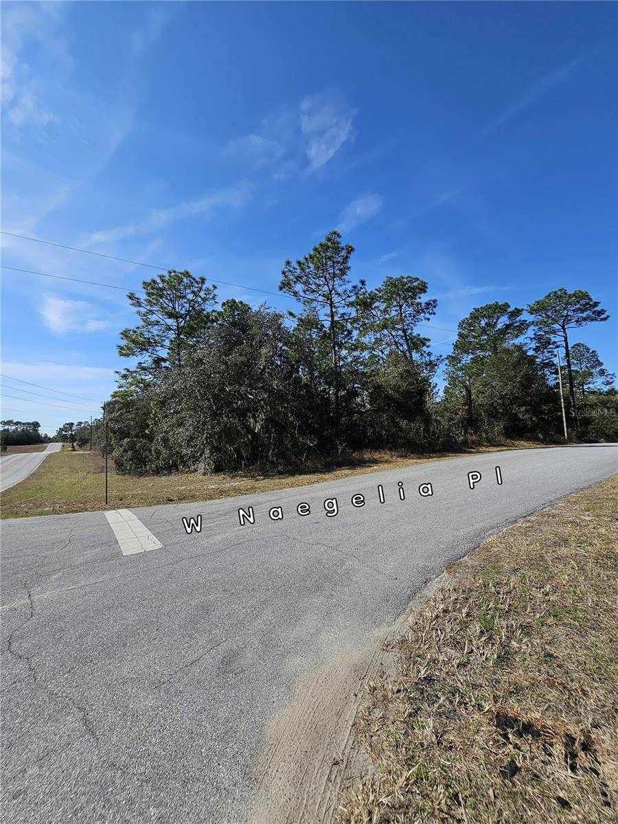 Citrus Springs, FL 34434,2914 W NAEGELIA PL