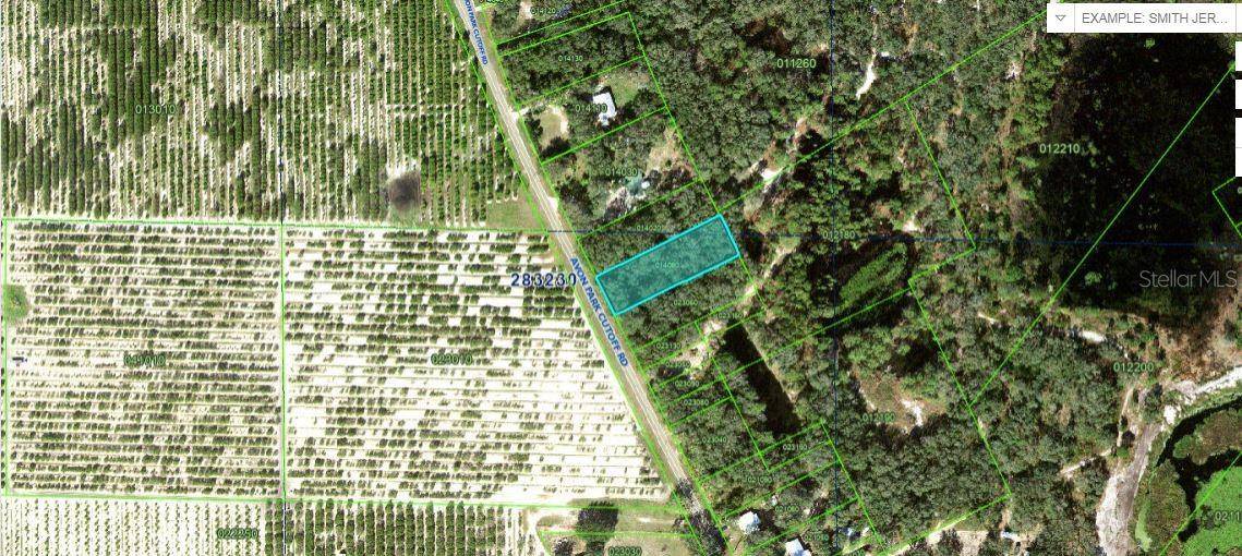 Frostproof, FL 33843,AVON PARK CUTOFF RD