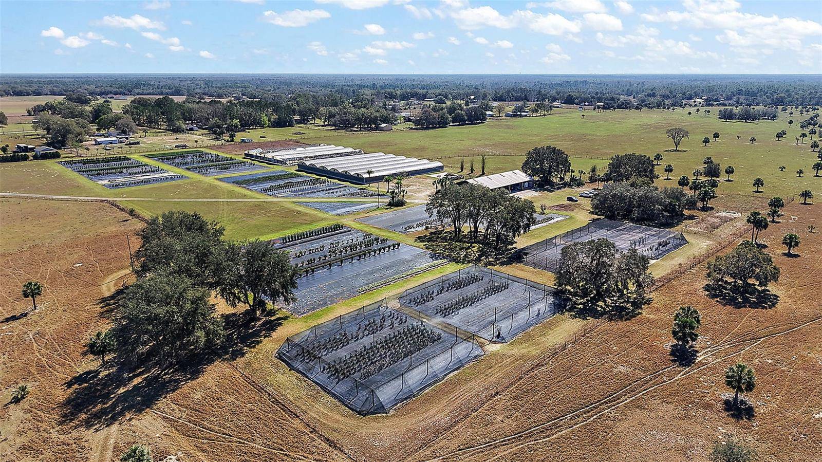 Eustis, FL 32736,26222 COUNTY ROAD 44A