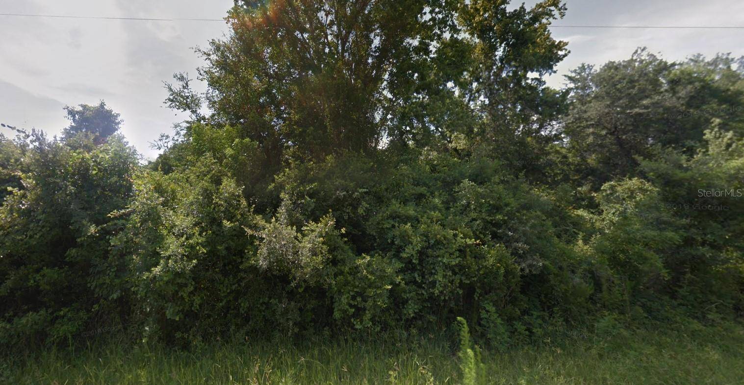 Ocala, FL 34472,00 EMERALD LOOP WAY LOT 28 #28