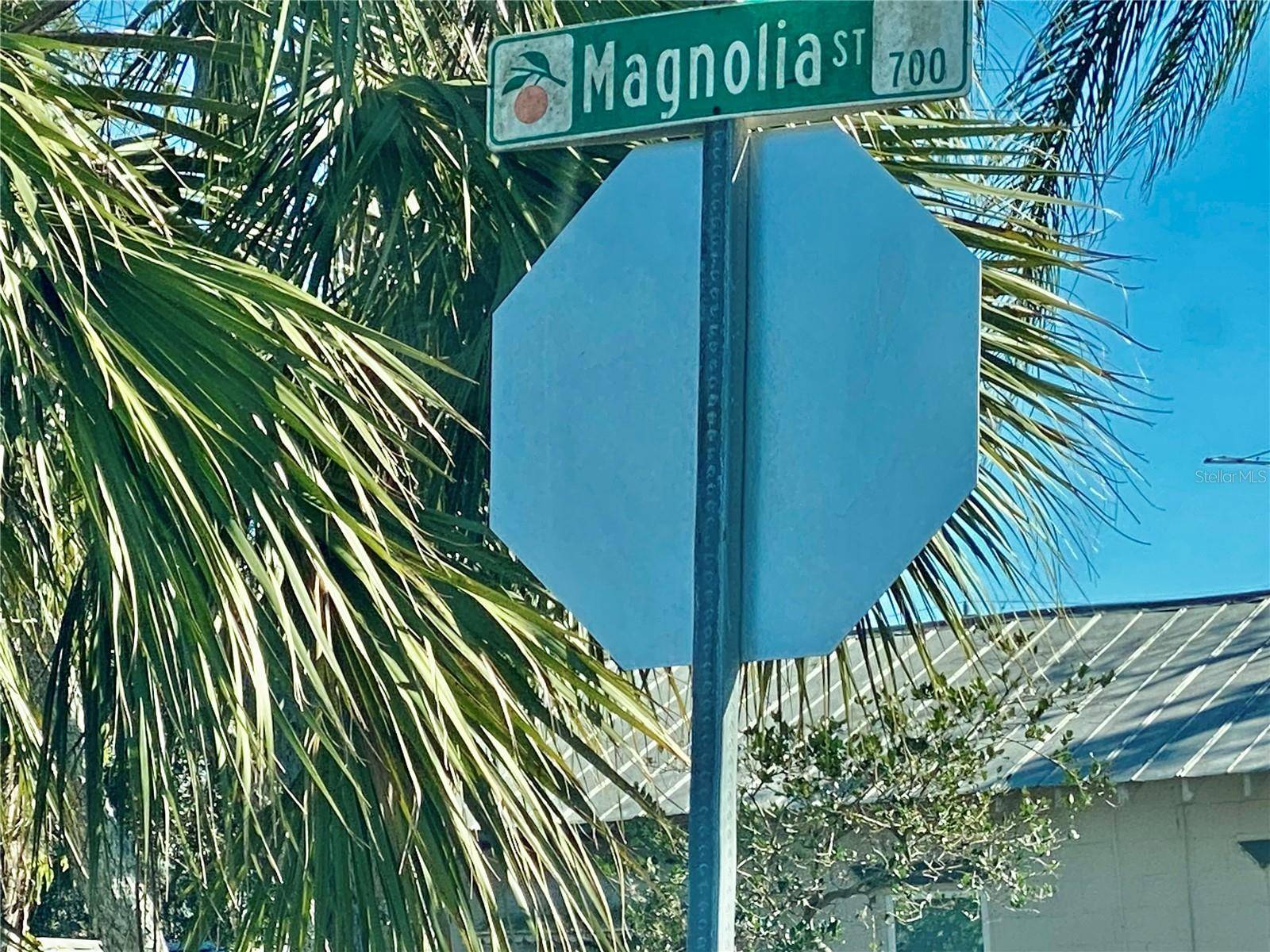 Winter Garden, FL 34787,730 MAGNOLIA ST