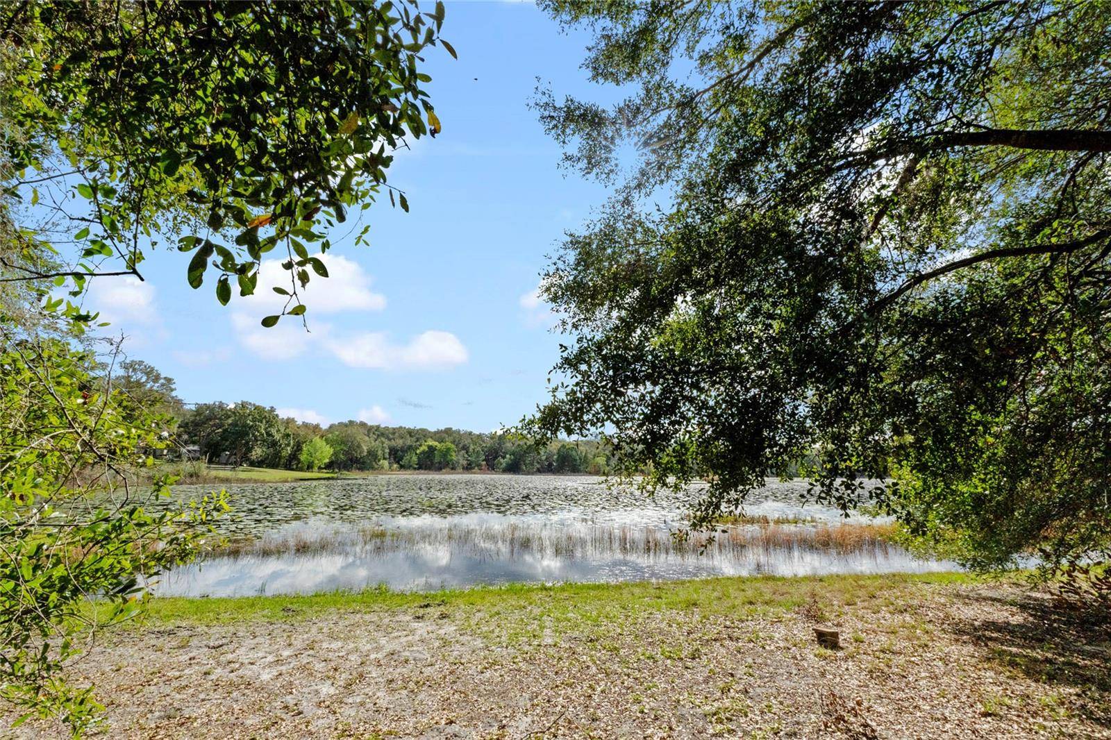 Fruitland Park, FL 34731,1343 SPRING LAKE RD