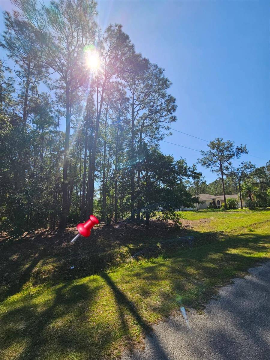 Frostproof, FL 33843,0 FLORIDA GRACKLE CT