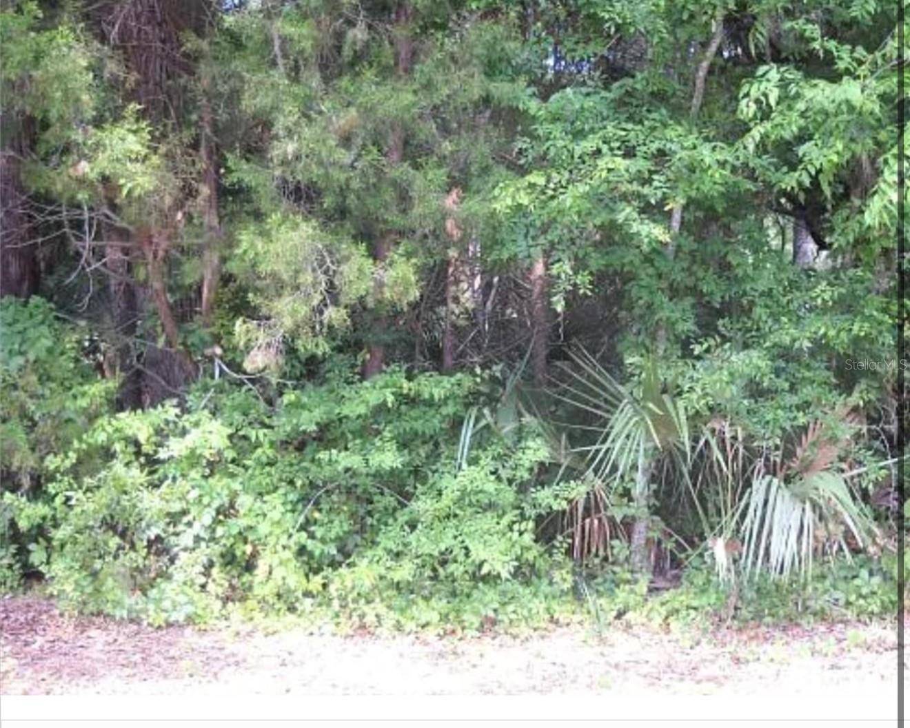 Homosassa, FL 34448,8438 W ELKHORN DR