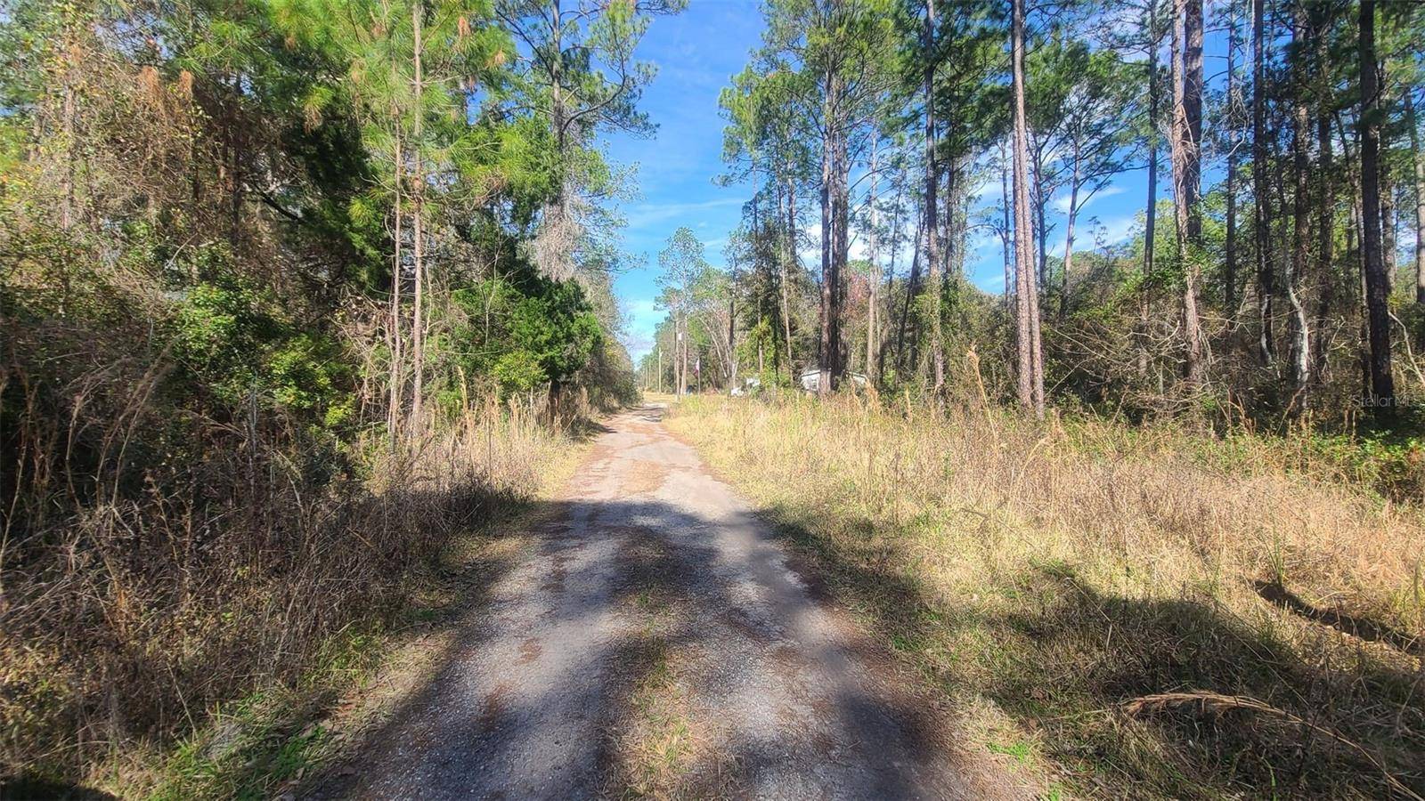 Citra, FL 32113,13395 NE 65TH CT