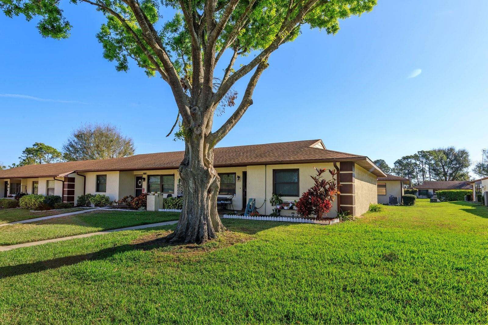 Tavares, FL 32778,30113 ROBIN LN
