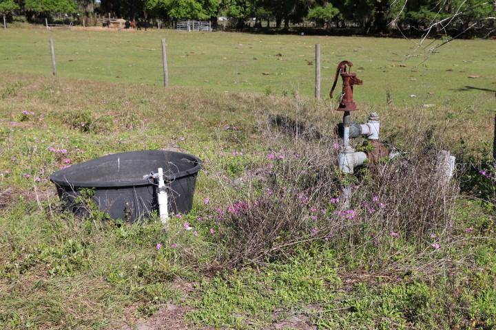 Bushnell, FL 33513,CR 48