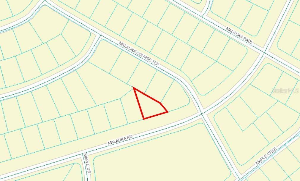 Ocklawaha, FL 32179,00 MALAUKA RD #40