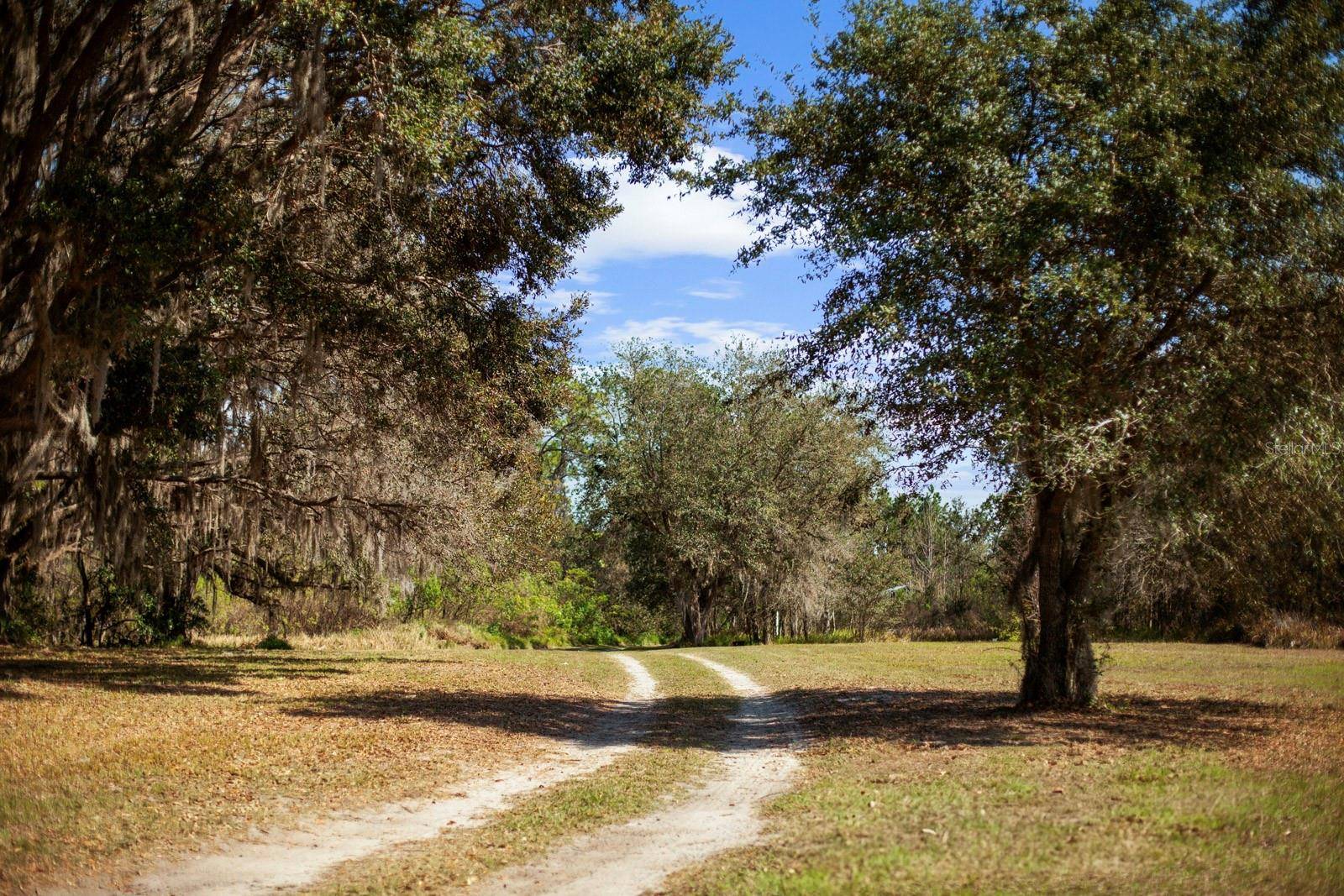 Clermont, FL 34711,8122 PINE ISLAND RD