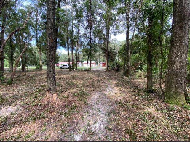 Fanning Springs, FL 32693,16588 NW 80TH AVE