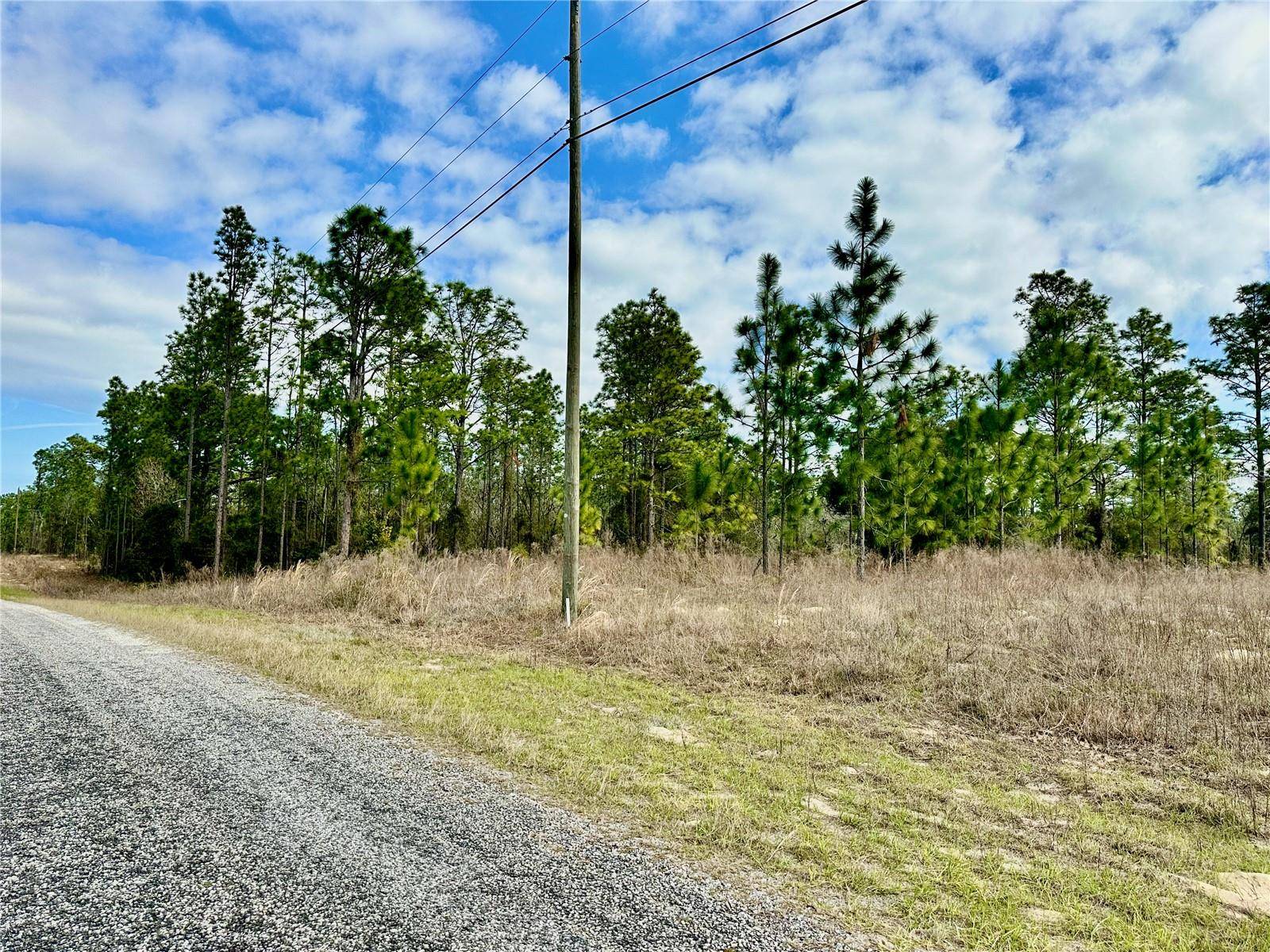 Dunnellon, FL 34431,LOT 41 SE 131 TERRACE