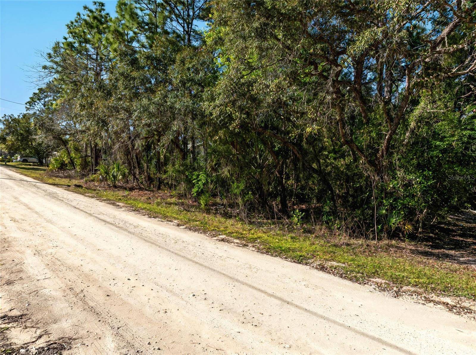 Weeki Wachee, FL 34613,9003 GLENARM WAY