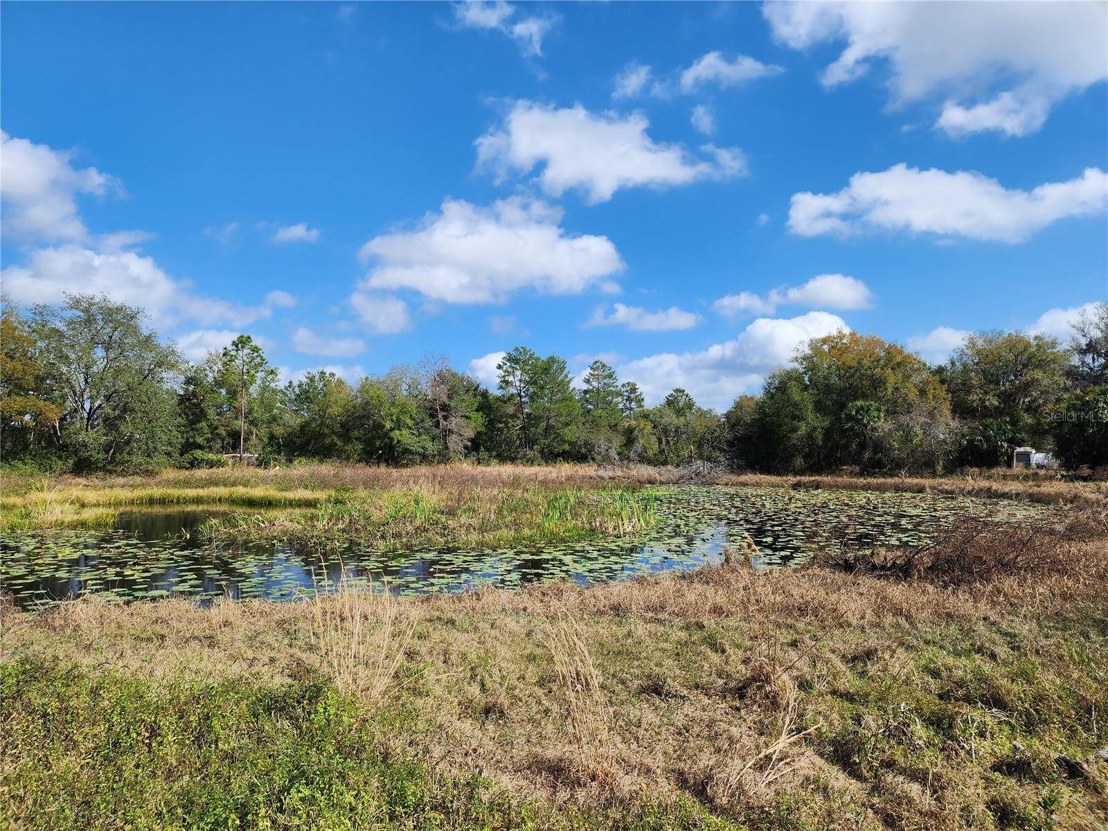 Deland, FL 32724,195 LAKE MOLLY AVE