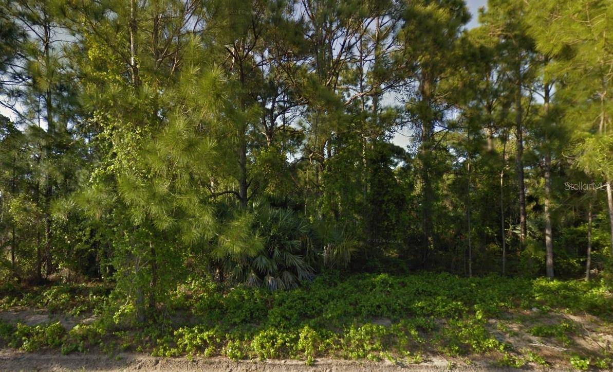 Palm Bay, FL 32907,1541 SARNIA ST NW