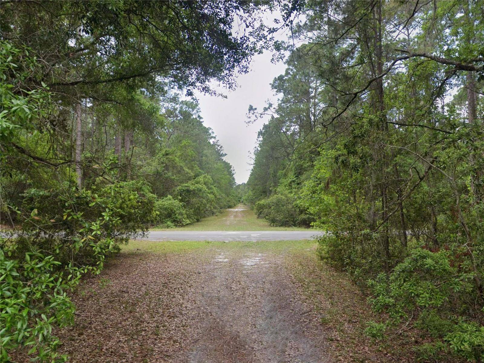 Georgetown, FL 32139,218 SE 1ST ST