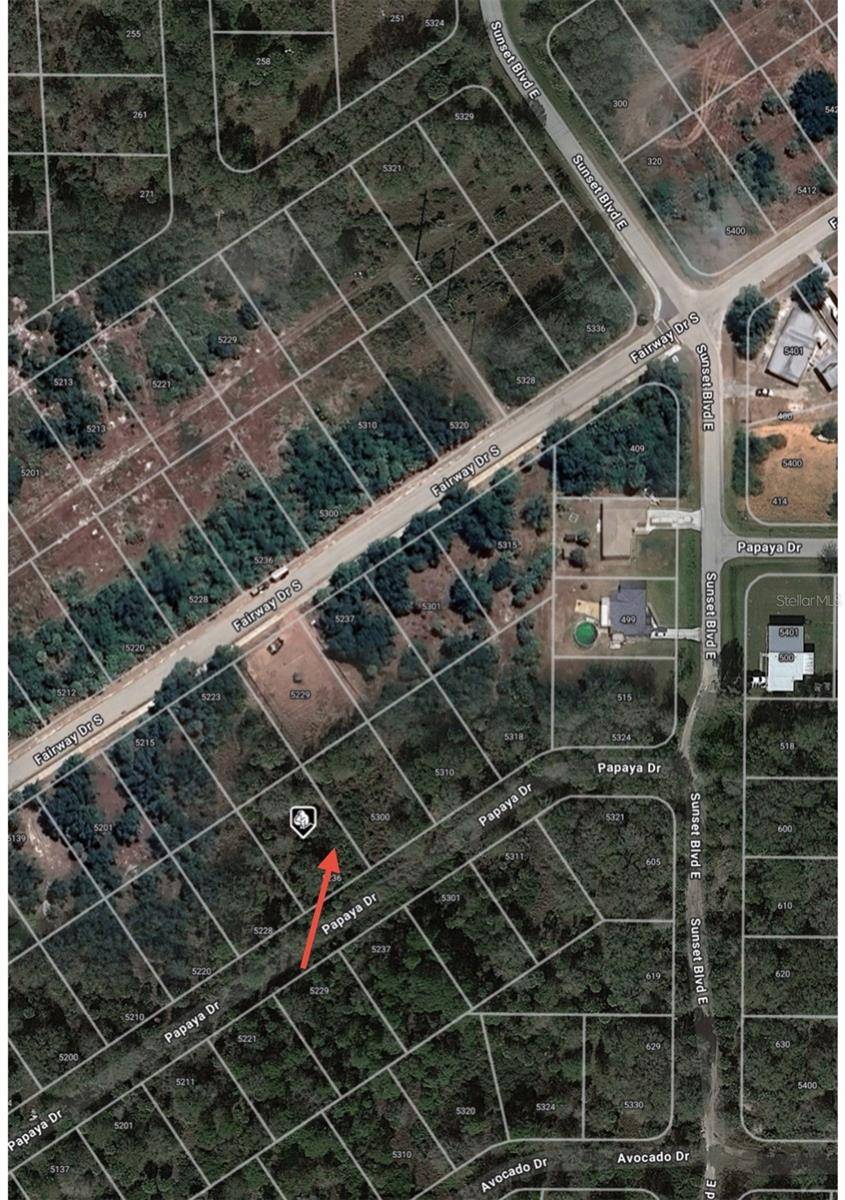 Punta Gorda, FL 33982,5236 PAPAYA DR
